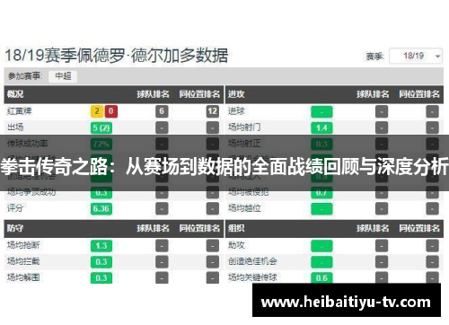 拳击传奇之路：从赛场到数据的全面战绩回顾与深度分析